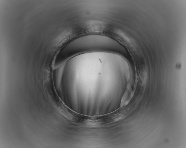 X0000090880556200708171648