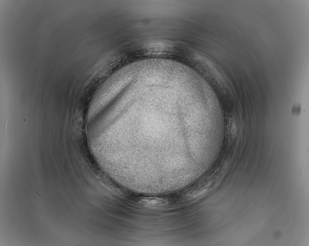 X0000090880557200708171648