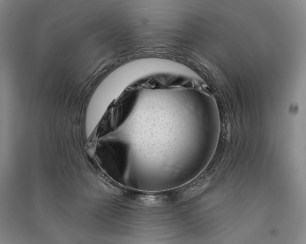 X0000090880558200708171648