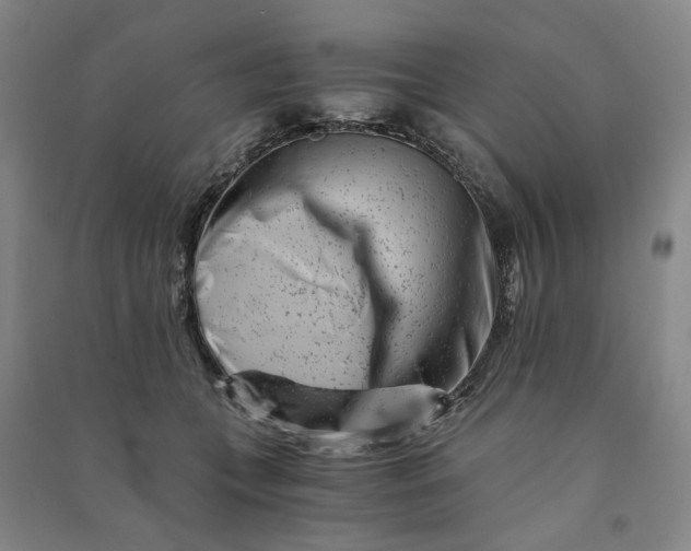 X0000090880559200708171648