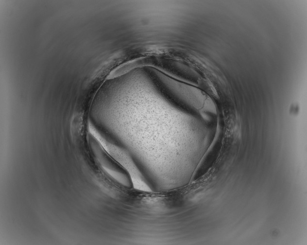 X0000090880560200708171648