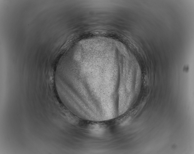 X0000090880561200708171648