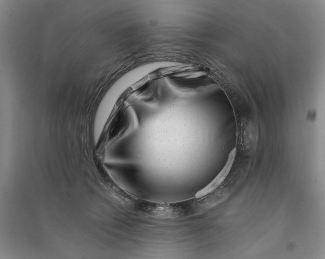 X0000090880562200708171648