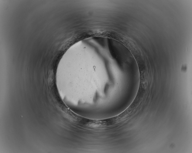 X0000090880563200708171648