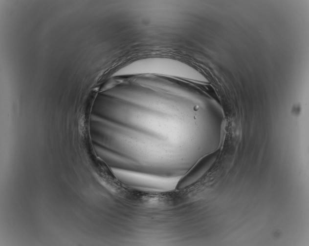 X0000090880564200708171648