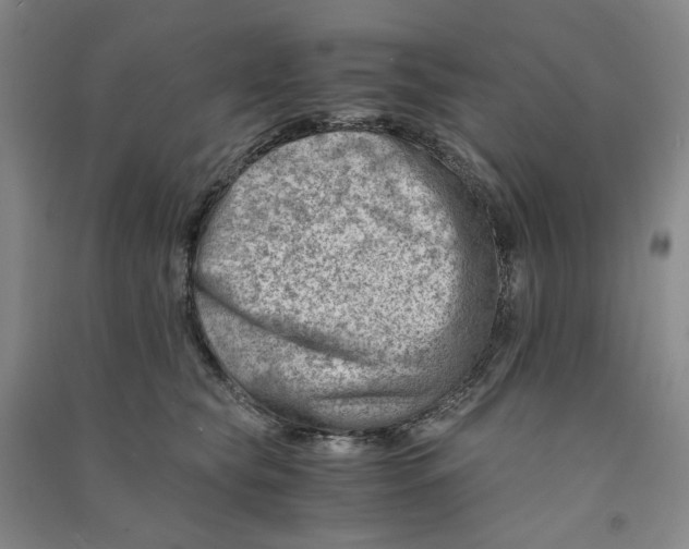 X0000090880565200708171648