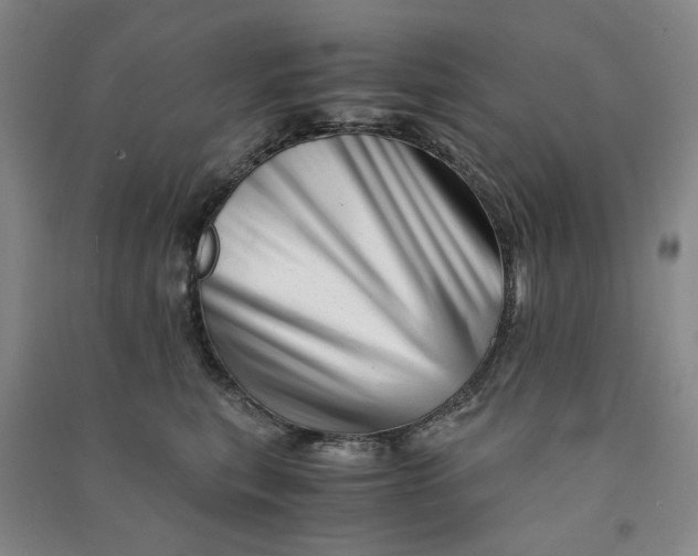 X0000090880567200708171648