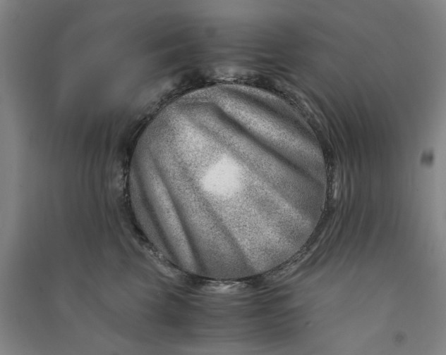 X0000090880569200708171648