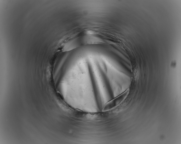 X0000090880570200708171648