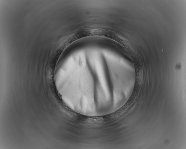 X0000090880571200708171648