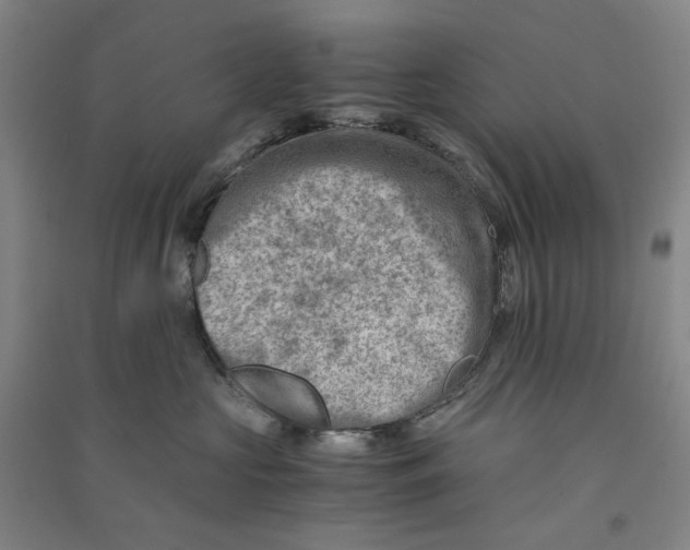 X0000090880573200708171648