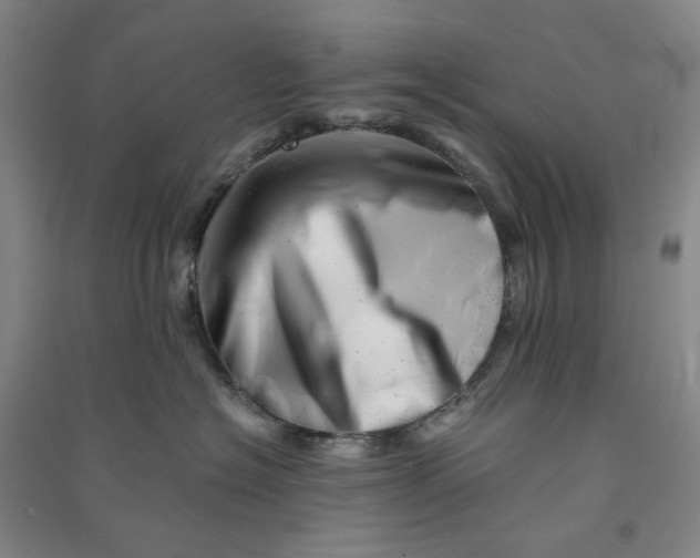 X0000090880574200708171648