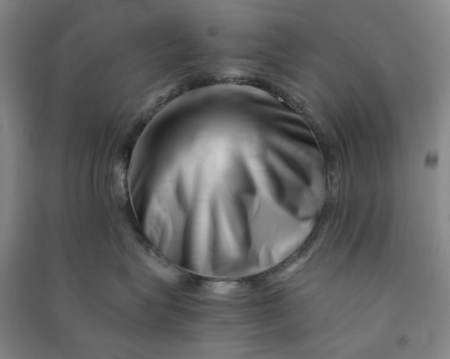 X0000090880575200708171648