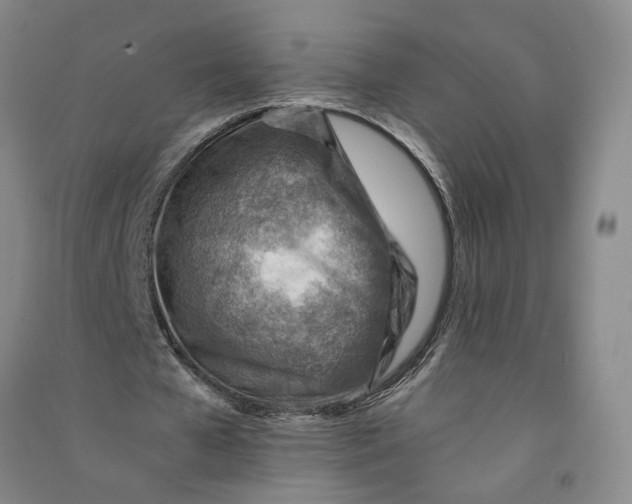 X0000090880577200708171647