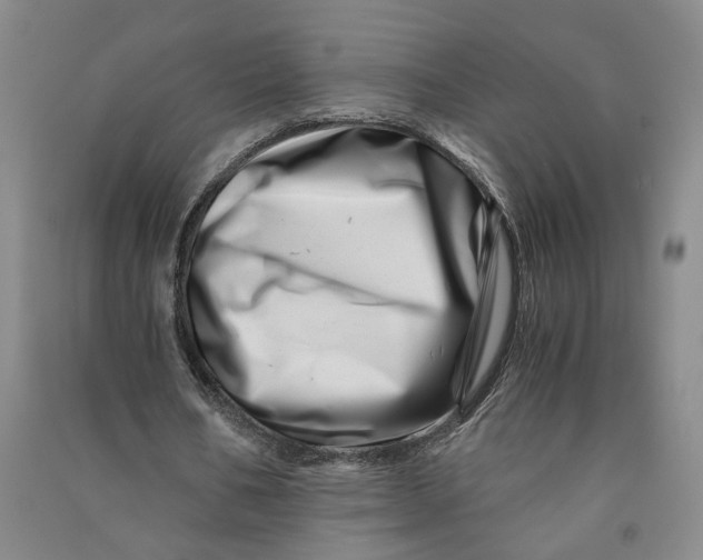 X0000090880578200708171647