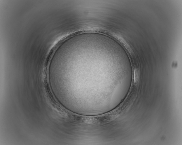 X0000090880579200708171647