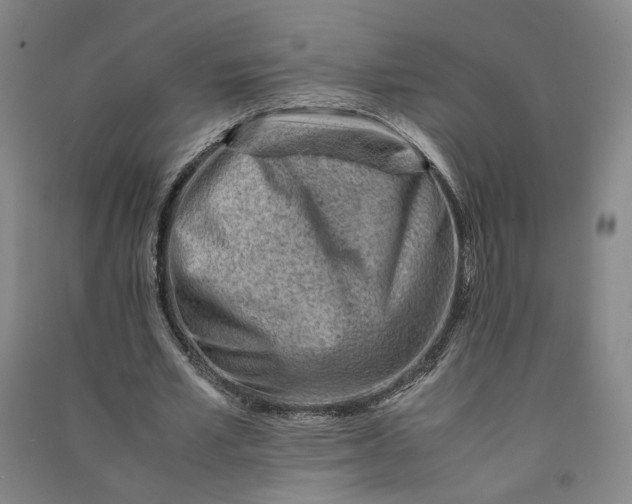 X0000090880581200708171647