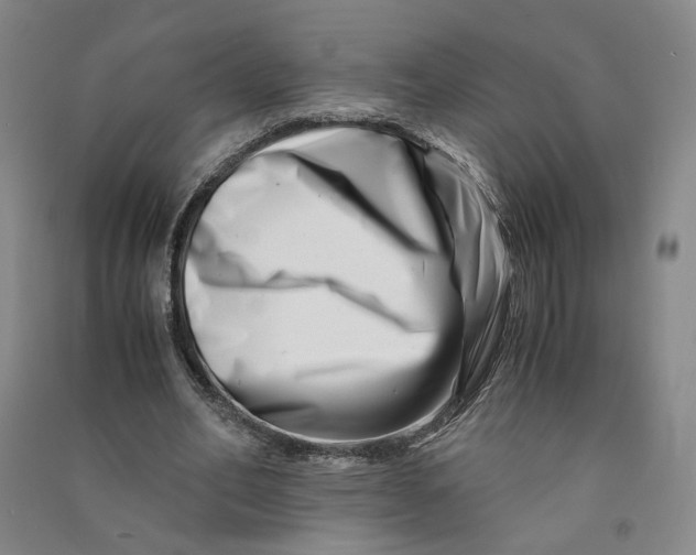 X0000090880582200708171647