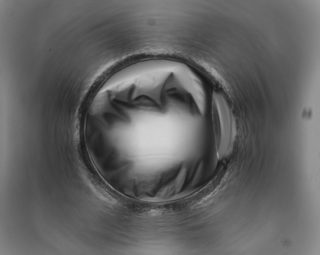 X0000090880584200708171647