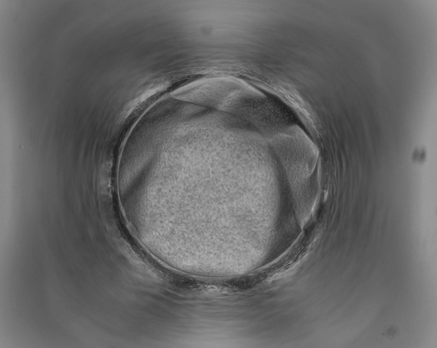 X0000090880585200708171647