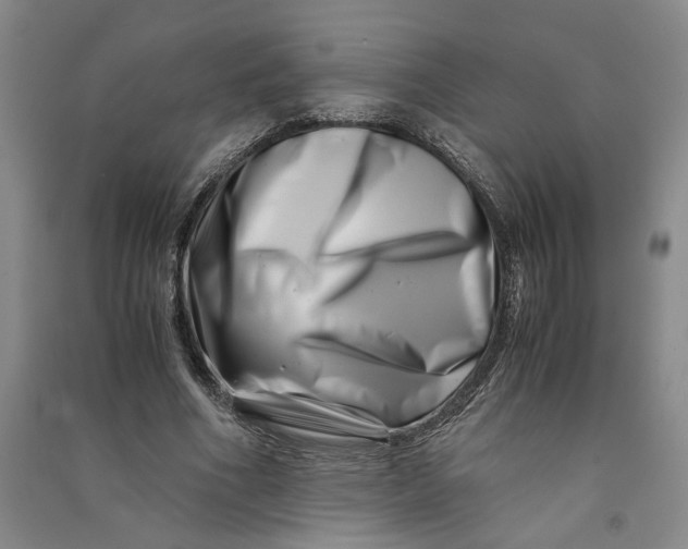 X0000090880586200708171647