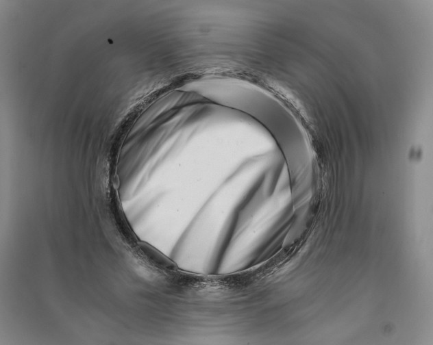 X0000090880589200708171647