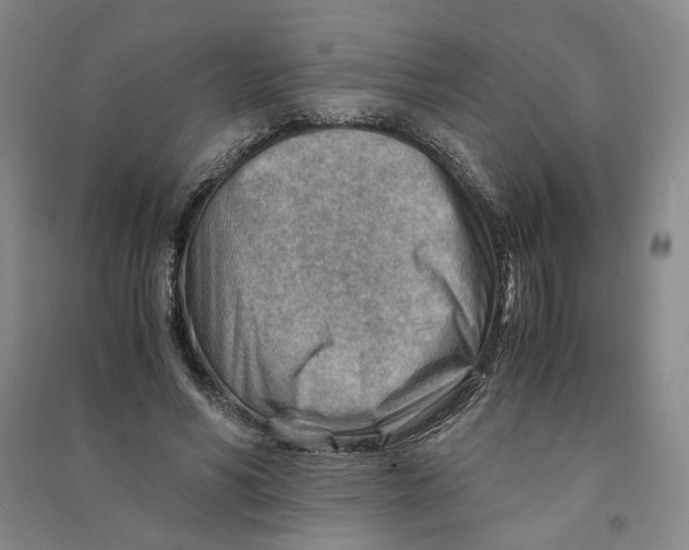 X0000090880590200708171647