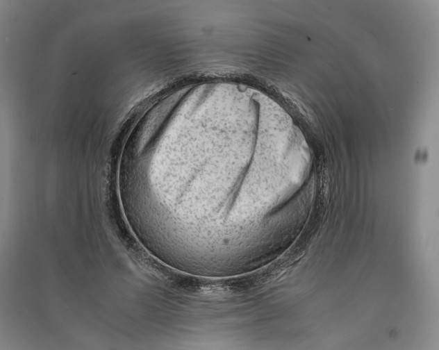 X0000090880591200708171647