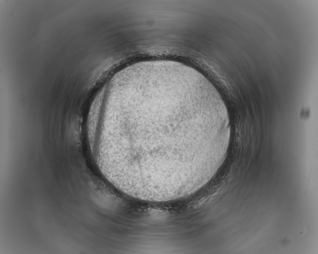 X0000090880592200708171647