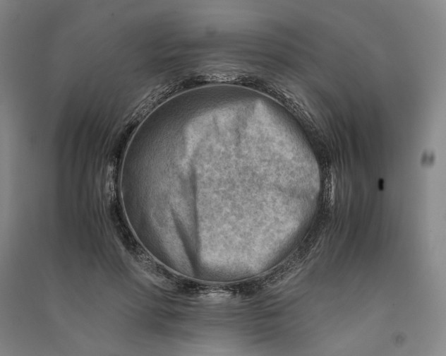 X0000090880598200708171647