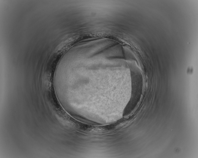 X0000090880599200708171647