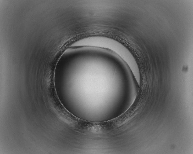 X0000090880600200708171647