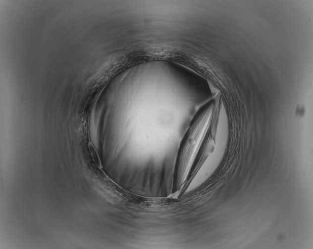 X0000090880601200708171647