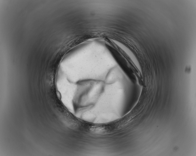 X0000090880602200708171647