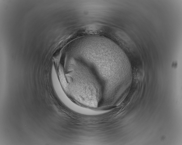 X0000090880603200708171647