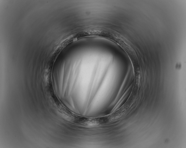 X0000090880604200708171647