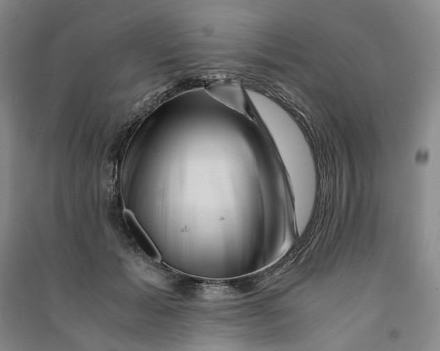 X0000090880605200708171647