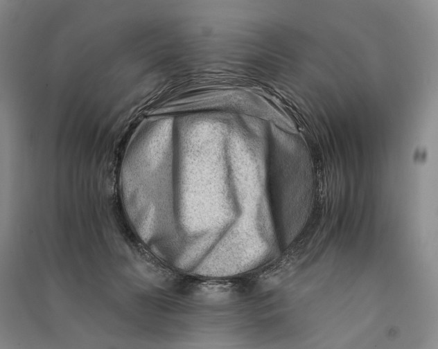 X0000090880606200708171647