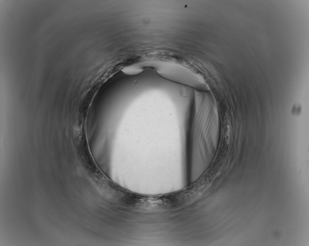 X0000090880607200708171647