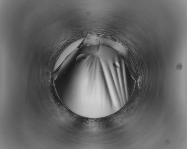 X0000090880608200708171647