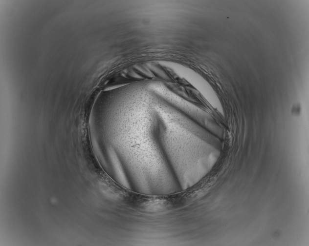 X0000090880609200708171647