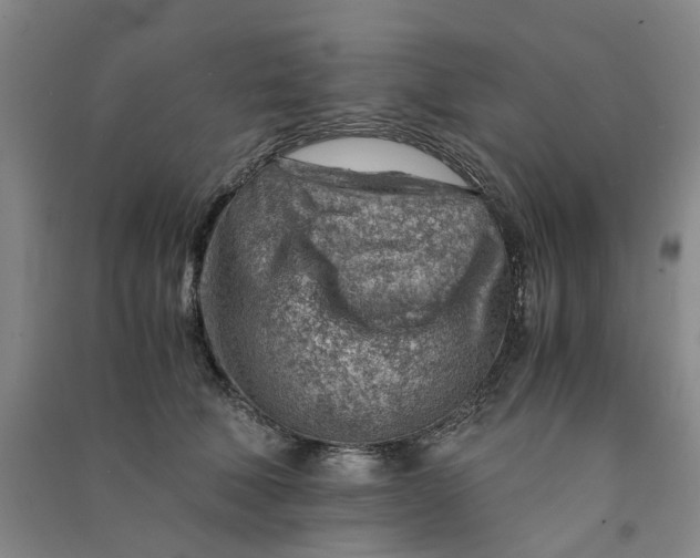 X0000090880610200708171647