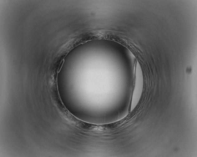 X0000090880611200708171647