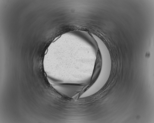 X0000090880613200708171647