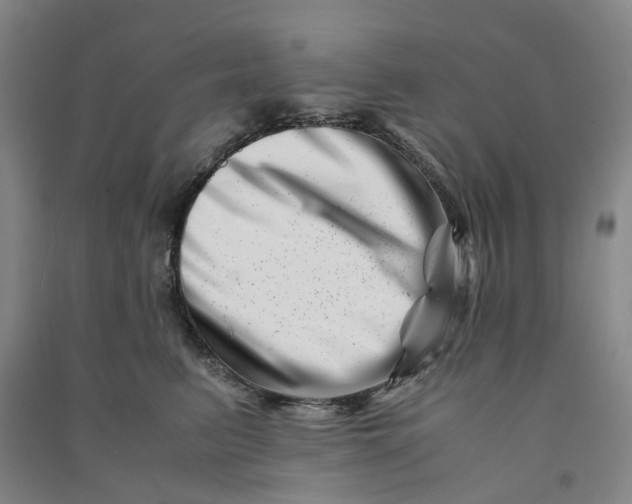 X0000090880615200708171647