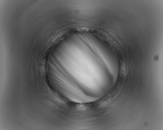 X0000090880616200708171647