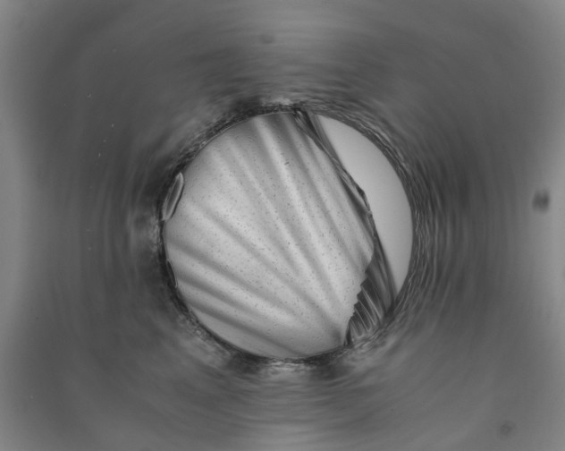 X0000090880617200708171647