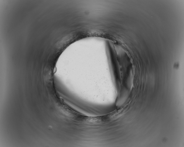 X0000090880619200708171647