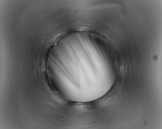 X0000090880620200708171647