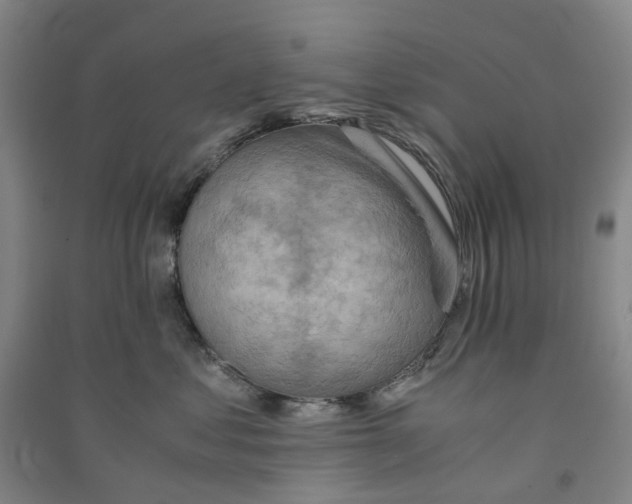 X0000090880621200708171647